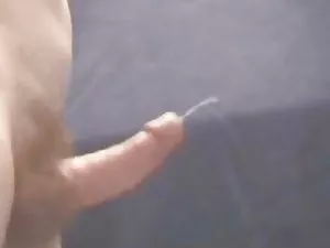 ლამაზი bitches დადგა ...